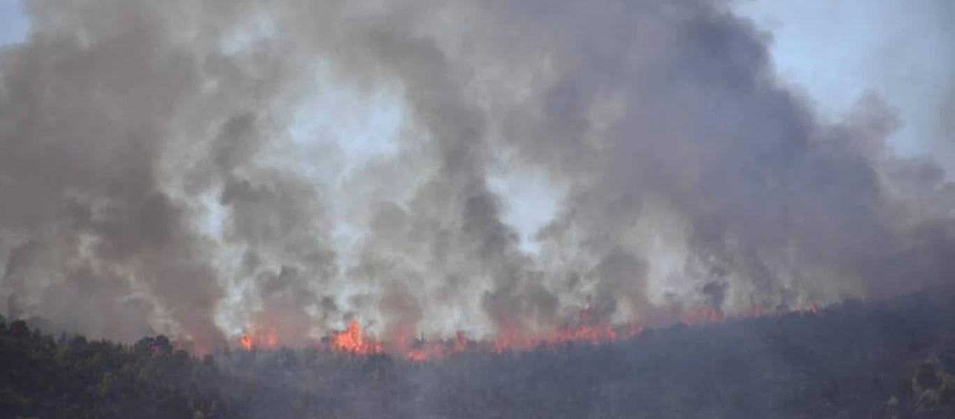 Βίλια: Οριοθετημένη η φωτιά - Επιχειρούν 461 πυροσβέστες